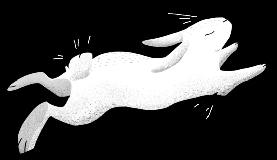 Ki le lapin Blanc